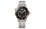 DIVER 300M CO‑AXIAL MASTER CHRONOMETER